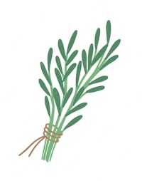 a bunch of herbs on a white background