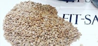 a pile of sunflower seeds on a table