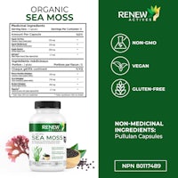 organic sea moss - organic sea moss