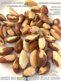 brazil nuts on a white plate