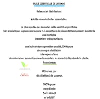 l'essence de la lavande - l'essence de la lavande - l'essen