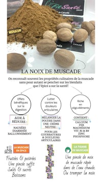 la noix de muscadine - muscadine - muscadine - muscadine