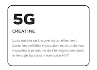 5g creatine - 5g creatine - 5g creatine - 5g creatine - 5g creatine -