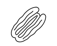 a line icon of a pecan on a white background