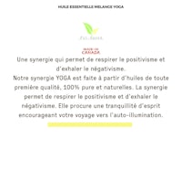 a flyer with the words'essence de l'insanité'