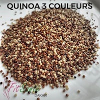 quinoa 3 coulours quinoa 3 coulours quinoa 3 coulours quinoa 3 coul