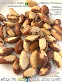 brazil nuts on a white plate