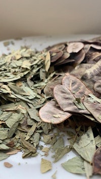 eucalyptus leaves on a white plate