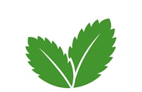 a green leaf icon on a white background