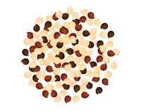 a pile of pecans on a white background