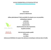 a flyer with the words'hule essentielle du cactus'
