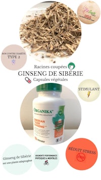 ginseng de sibere ginseng de sibere ginseng de sibere ginseng de sibere gins