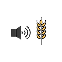 a wheat and a speaker icon on a white background