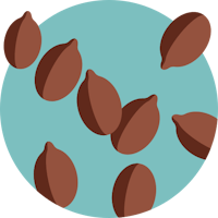 almonds in a circle on a blue background