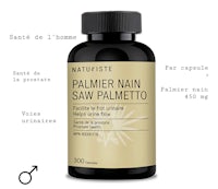 palmer main saw palmetto