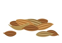 a pile of almonds on a white background