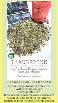 l'aubepine - l'aubepine l'aubepine l'aubepine