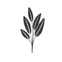 a leaf icon on a white background