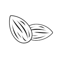 two almonds on a white background