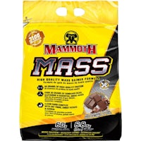 mammoth mass chocolate