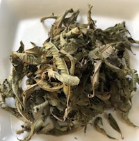 a pile of dried leaves on a white plate