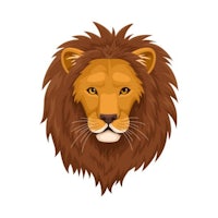 a lion head on a white background